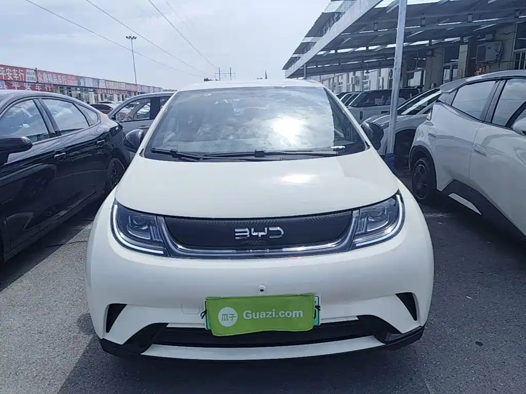 BYD Dolphin 2026