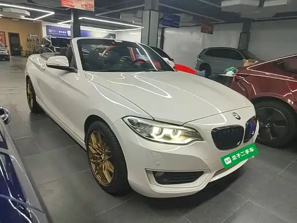BMW 2 Series 2016