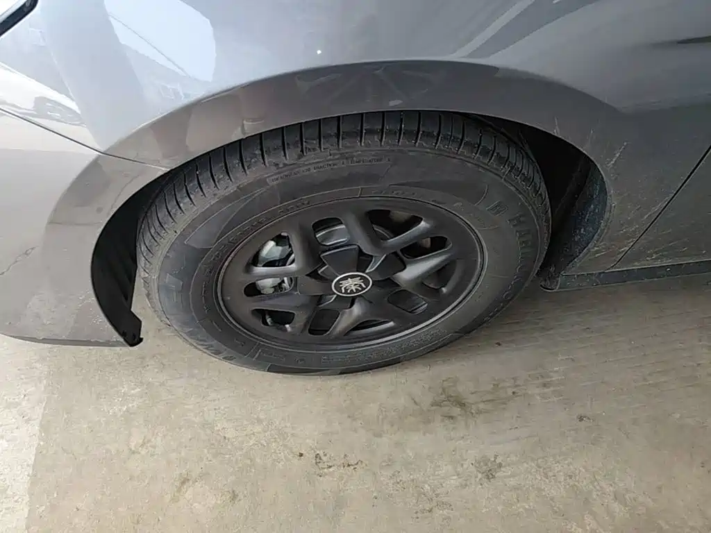 BYD Qin PLUS 2025 — фото 23