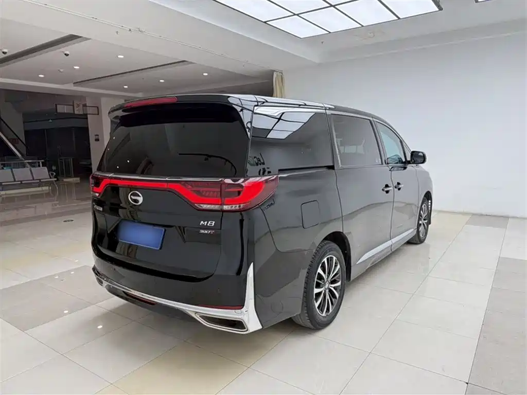 GAC Motor Trumpchi M8 2023 — фото 25