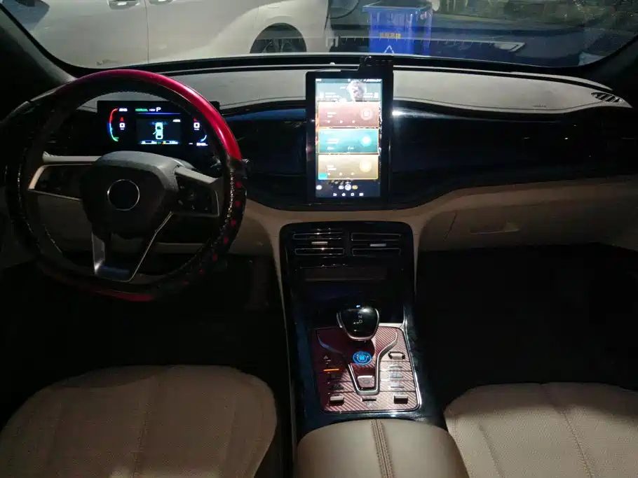 BYD Qin PLUS 2024 — фото 12