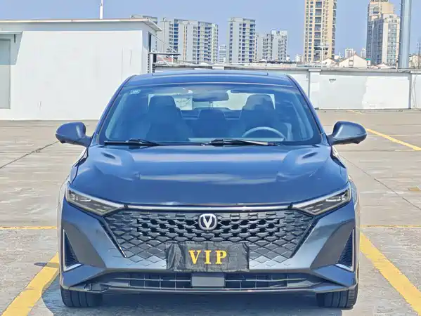 Changan Ruicheng PLUS 2023