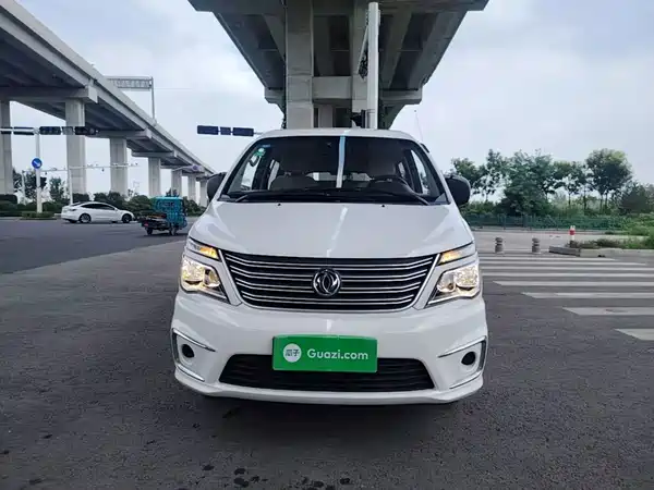 Dongfeng Lingzhi 2019