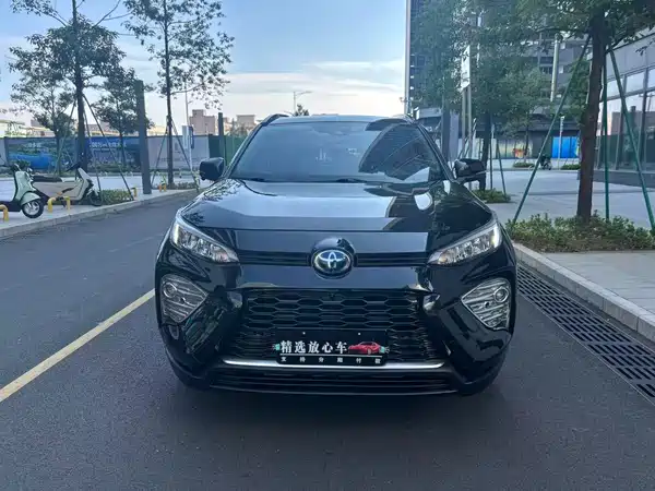 Toyota Wildlander 2020