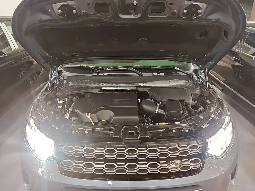 Land Rover Discovery Sport 2020 — фото 16