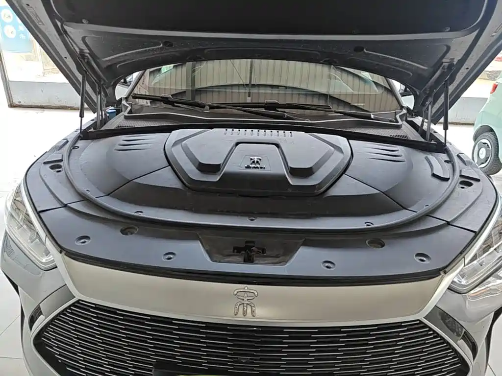 BYD PLUS New Energy 2022 — фото 16