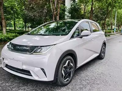 BYD Dolphin 2021