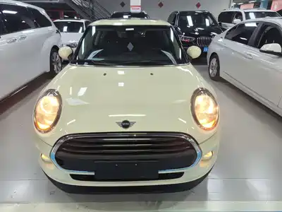 MINI MINI 2019