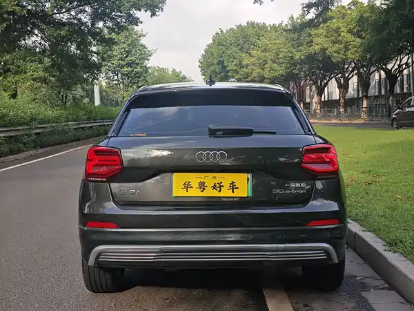 Audi Q2L E-Tron 2020