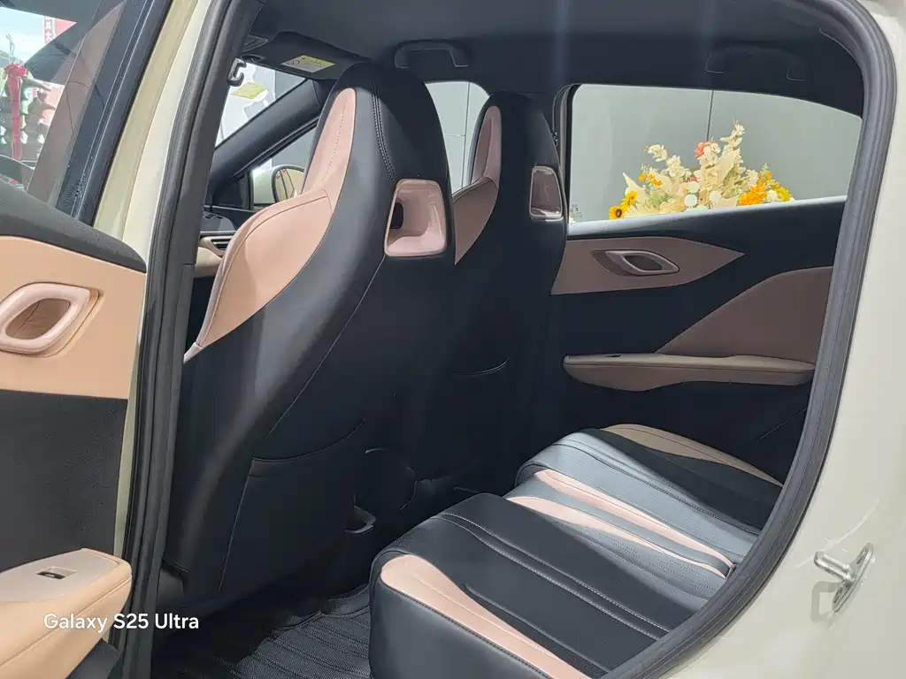 BYD Seagull 2025