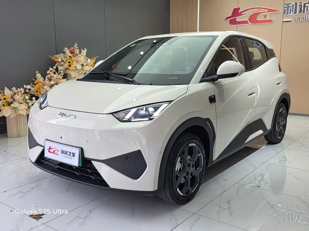 BYD Seagull 2025