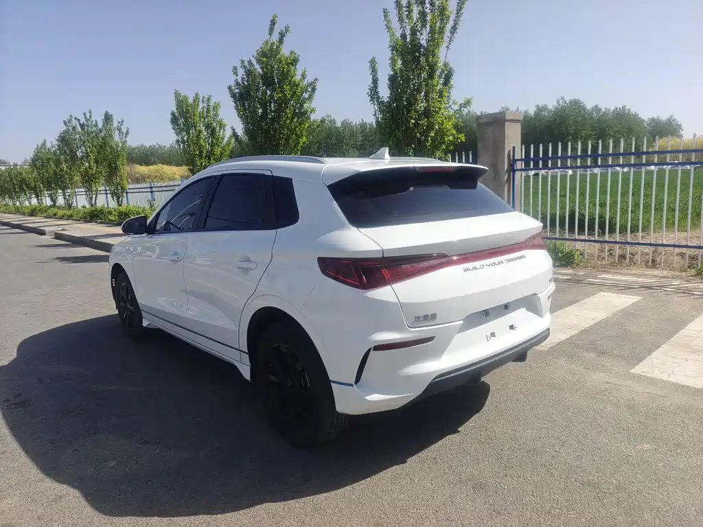 BYD e2 2020