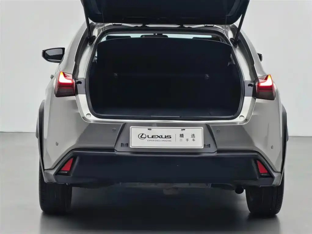 Lexus UX 2020 — фото 16