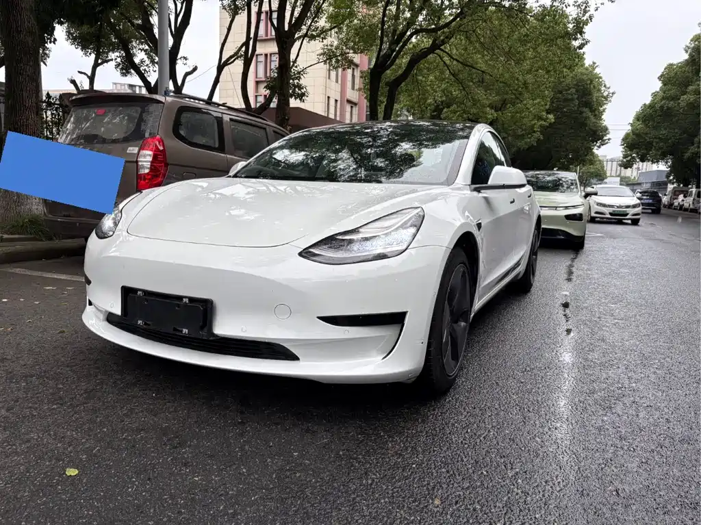Tesla Model 3 2020