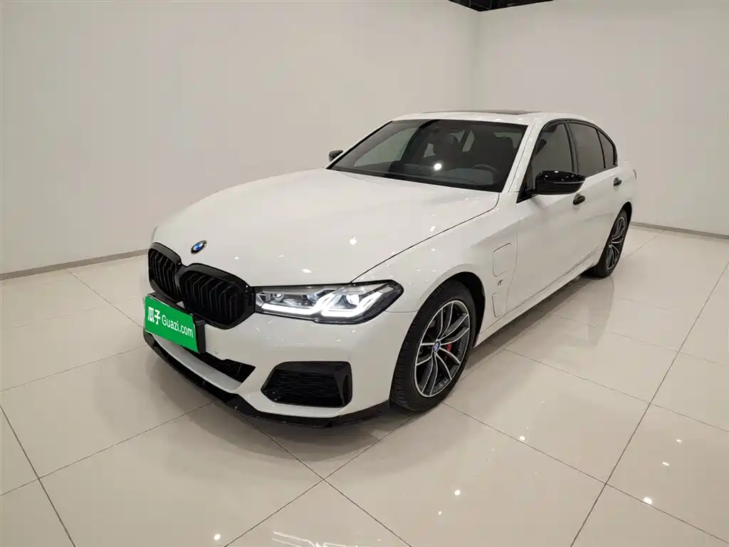 BMW 5 Series New Energy 2021 — фото 2