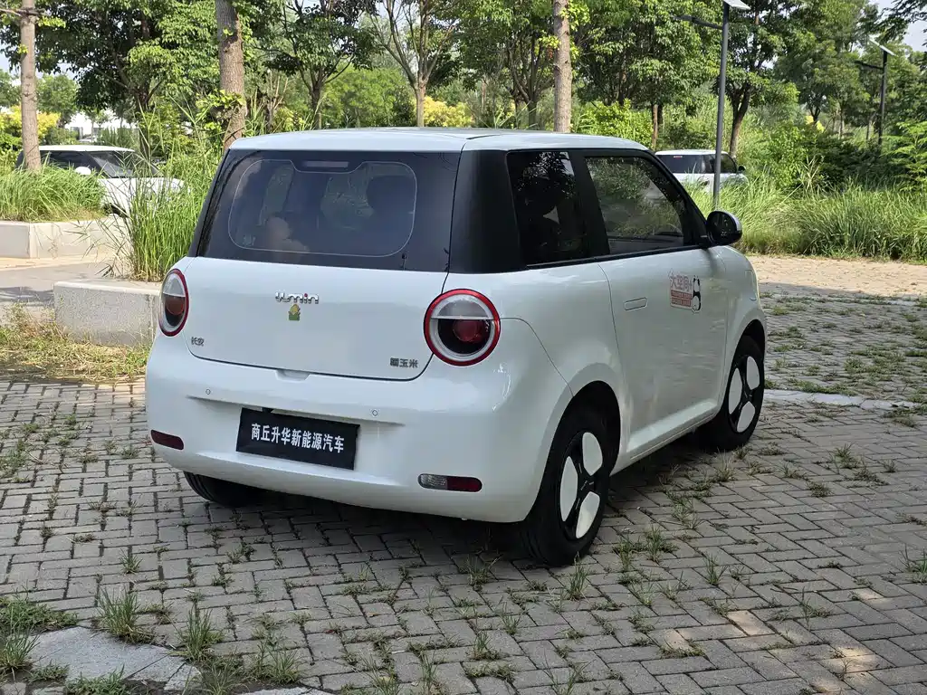 Changan Lumin 2025