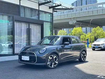 MINI MINI 2025