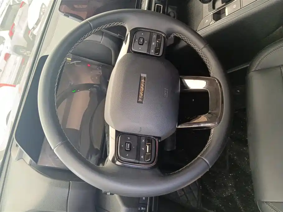 Haval Dargo PLUS EV 2023 — фото 13