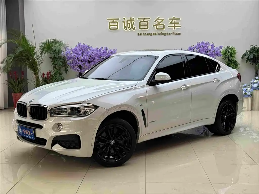 BMW X6 2019 — фото 2