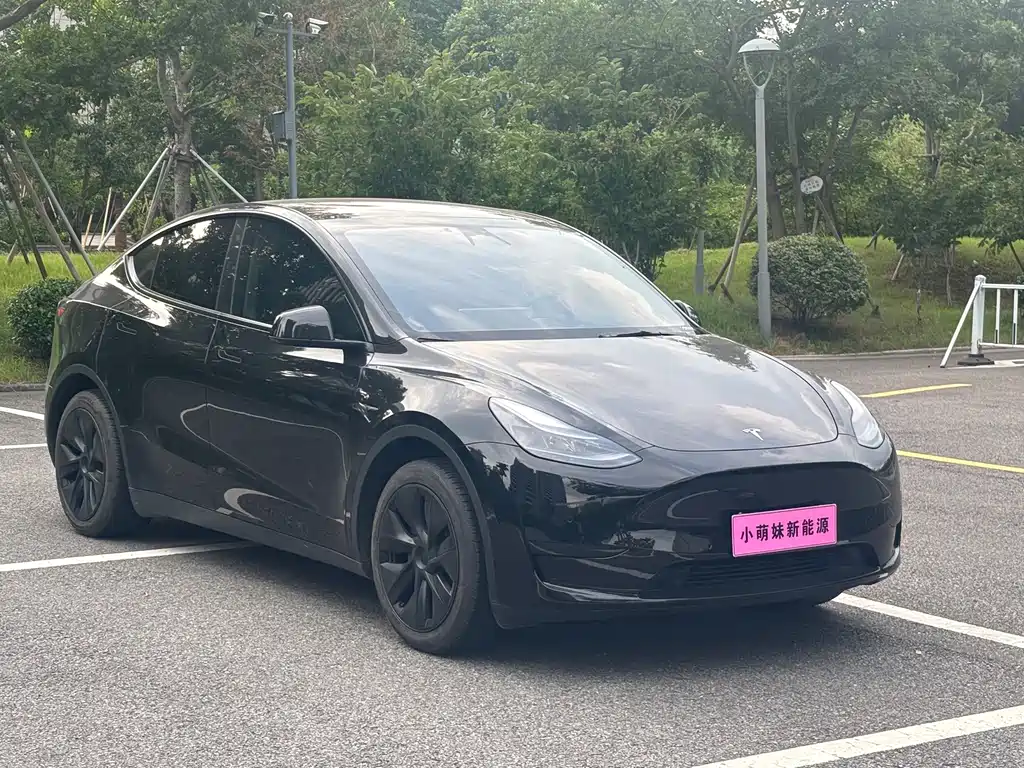 Tesla Model Y 2023 — фото 3