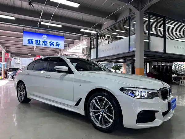 BMW 5 Series 2019