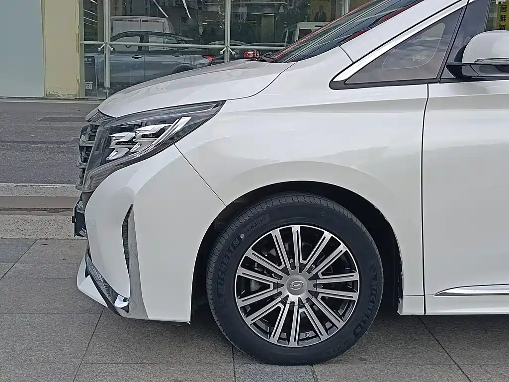 GAC Trumpchi M8 2021 — фото 4