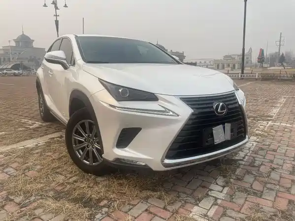 Lexus NX 2018