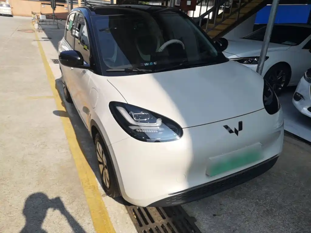 Wuling Bingo 2024