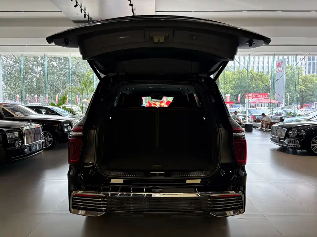 Hongqi Golden Sunflower Guoyao 2022 — фото 31