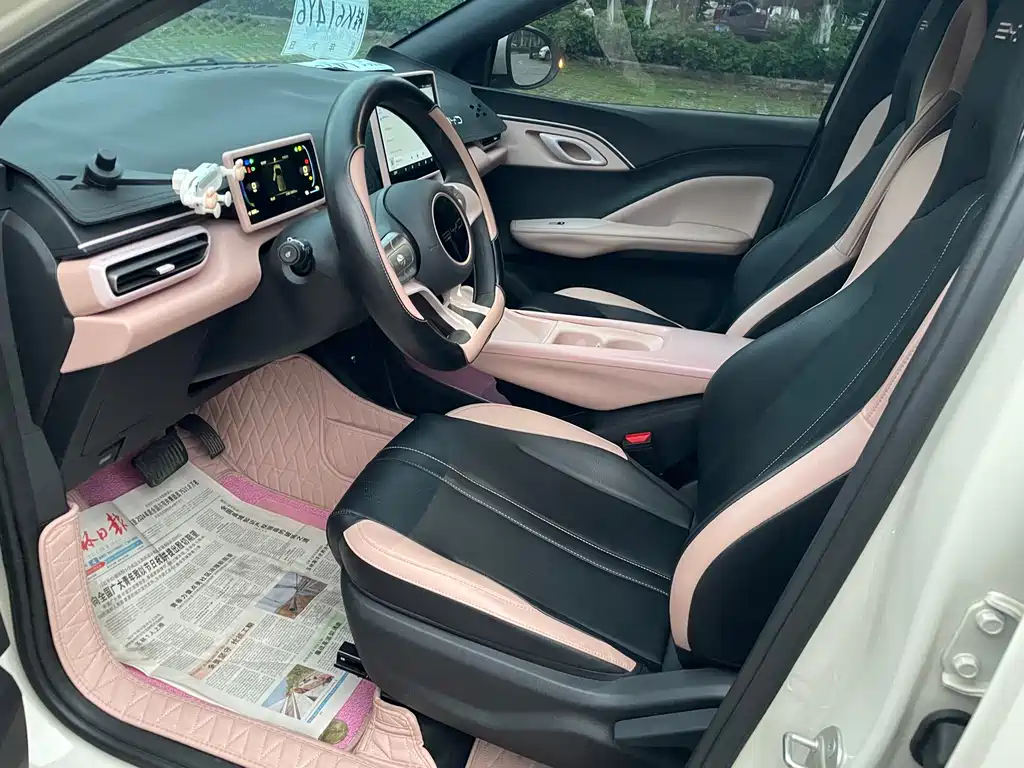 BYD Seagull 2024