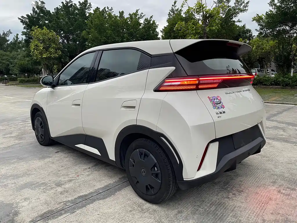 BYD Seagull 2024