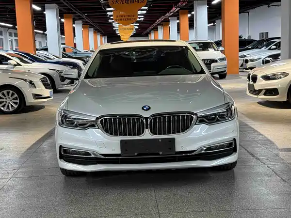 BMW 5 Series New Energy 2019