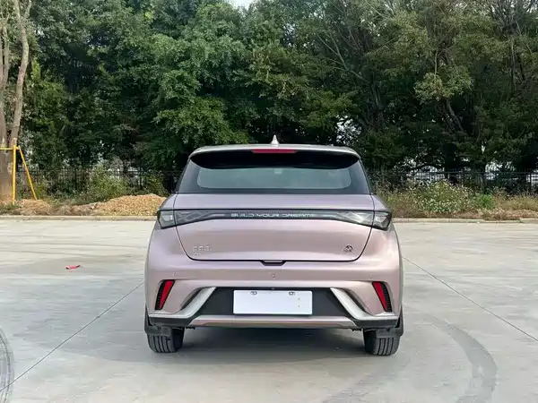 BYD Dolphin 2021