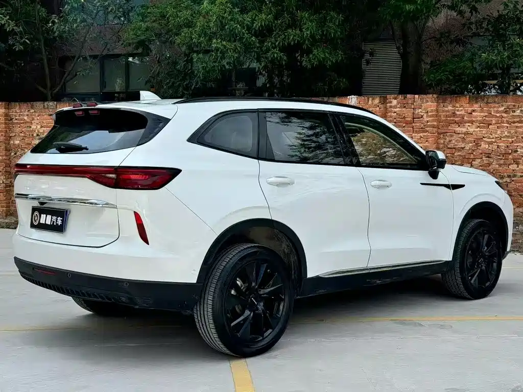 Haval H6 2022 — фото 9