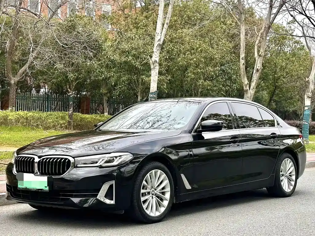 BMW 5 Series New Energy 2021
