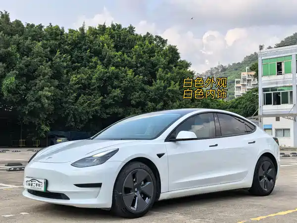 Tesla Model 3 2021