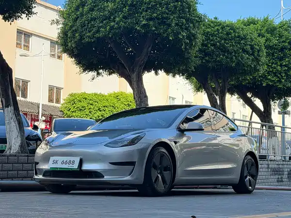 Tesla Model 3 2021