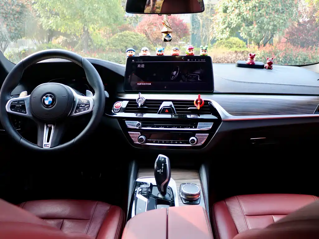 BMW 5 Series 2018 — фото 10