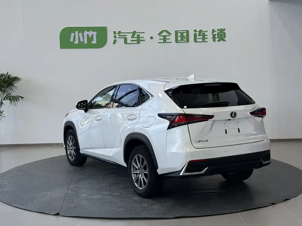Lexus NX 2020 — фото 8