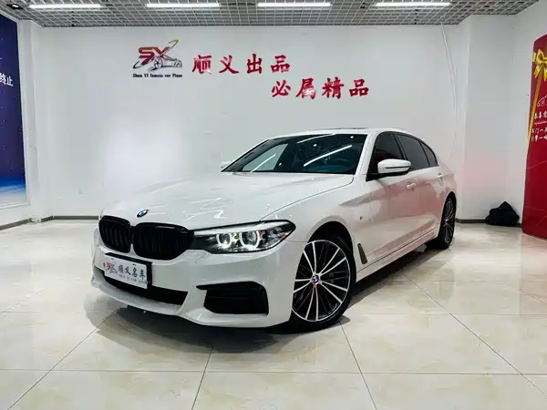 BMW 5 Series 2019
