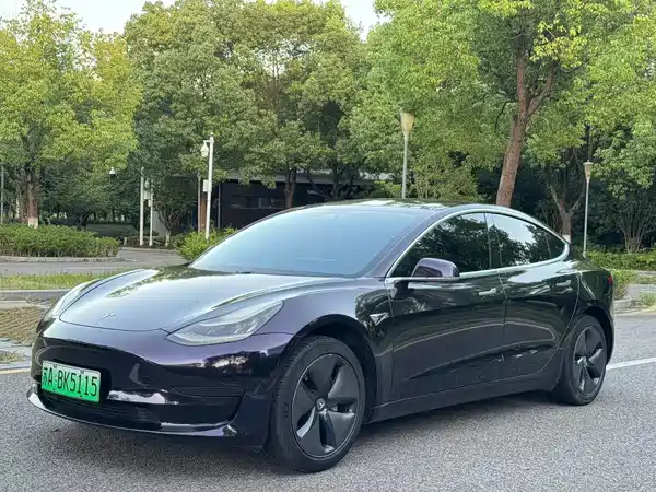 Tesla Model 3 2020