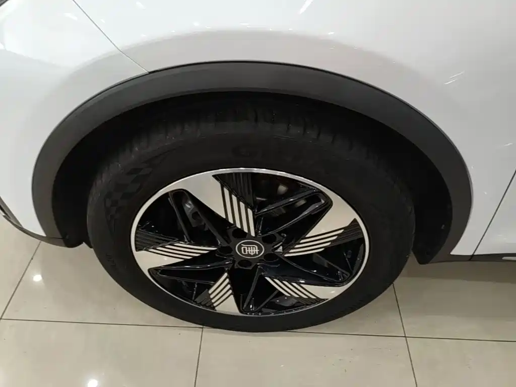 BYD Tang New Energy 2023 — фото 23