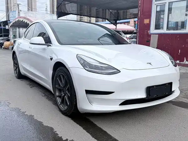 Tesla Model 3 2020