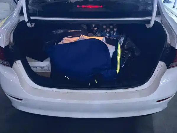 Changan Electra Meccanica 2019