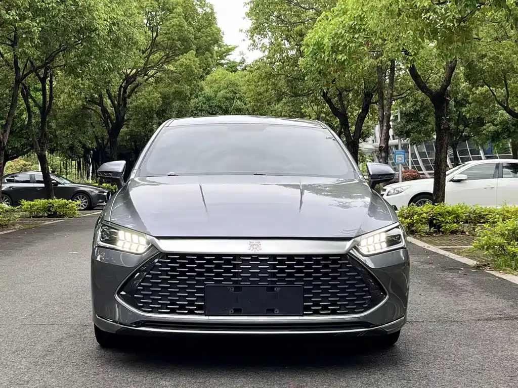 BYD Qin PLUS 2022 — фото 2