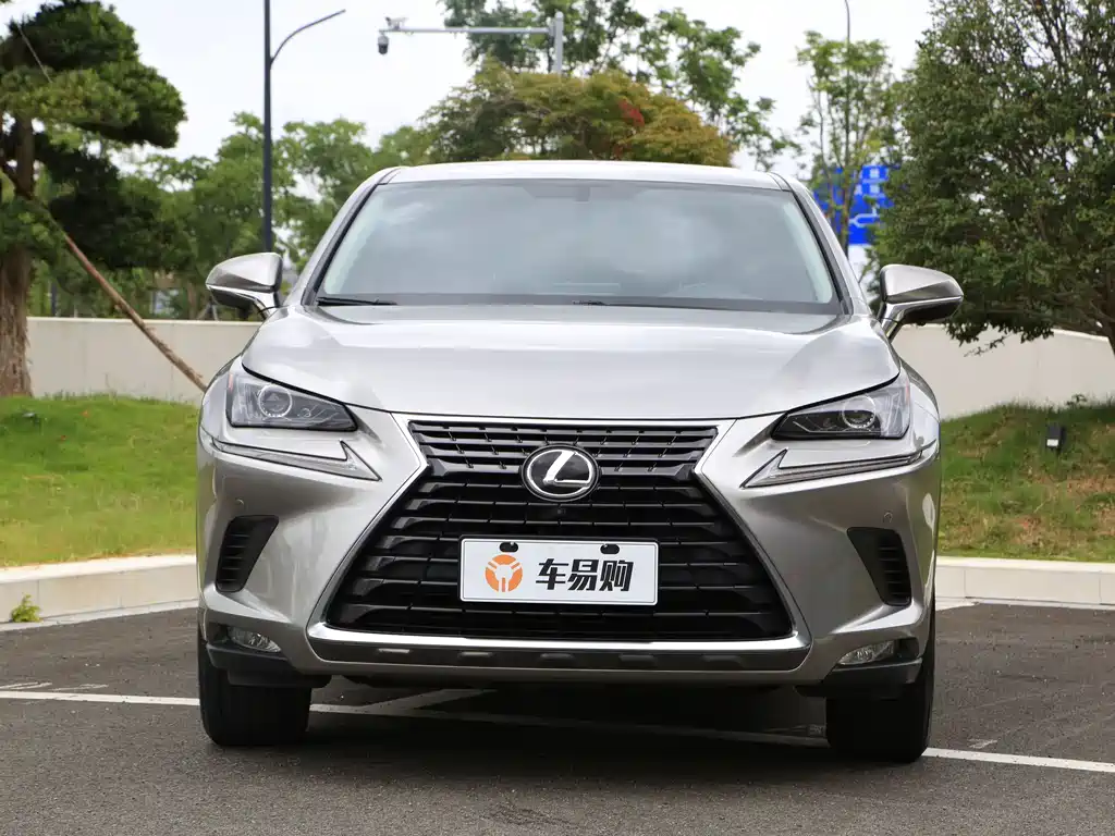 Lexus NX 2020 — фото 2