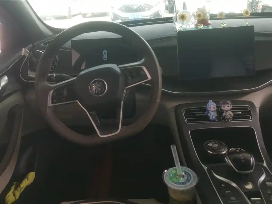 BYD Qin PLUS 2023 — фото 15