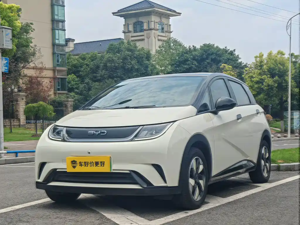 BYD Dolphin 2024