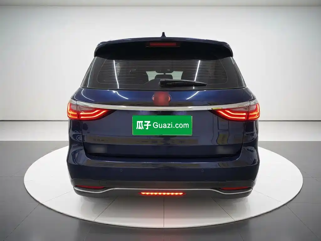 BYD MAX 2017