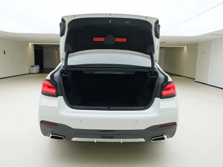 BMW 5 Series 2021